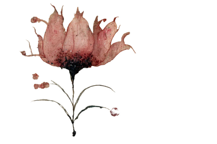 Pink Voynich Flower Vinyl Car Decal Sticker – Waterproof & UV-Resistant 