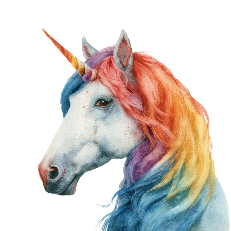 Rainbow Mane Unicorn Vinyl Car Decal Sticker – Waterproof & UV-Resistant 