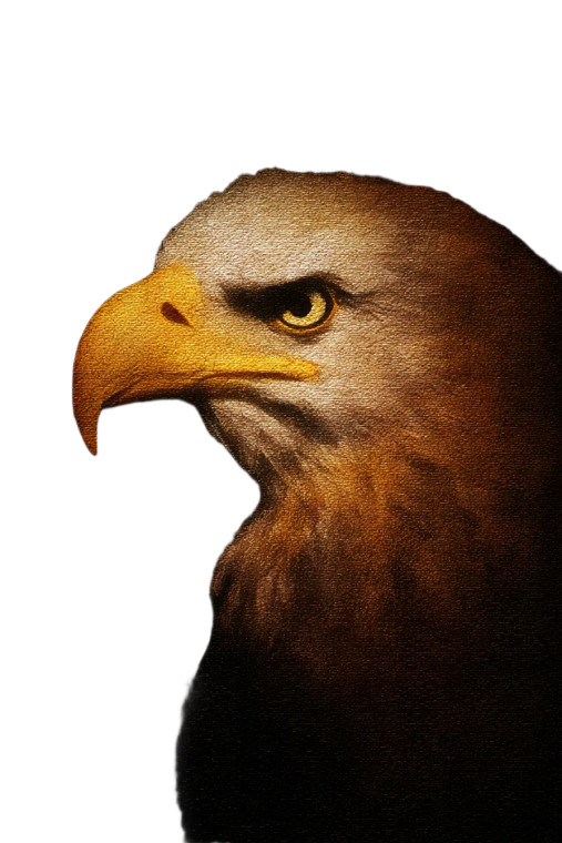 Eagle Cactus Art Vinyl Car Decal Sticker – Waterproof & UV-Resistant 
