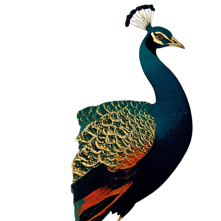 Ukiyo-E Peacock Vinyl Car Decal Sticker – Waterproof & UV-Resistant 