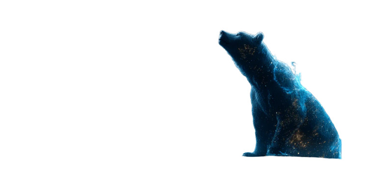 Dot Bear Globe Vinyl Car Decal Sticker – Waterproof & UV-Resistant 