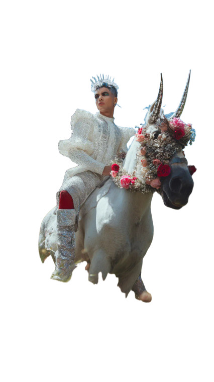 Regal Model On Horse Vinyl Car Decal Sticker – Waterproof & UV-Resistant 