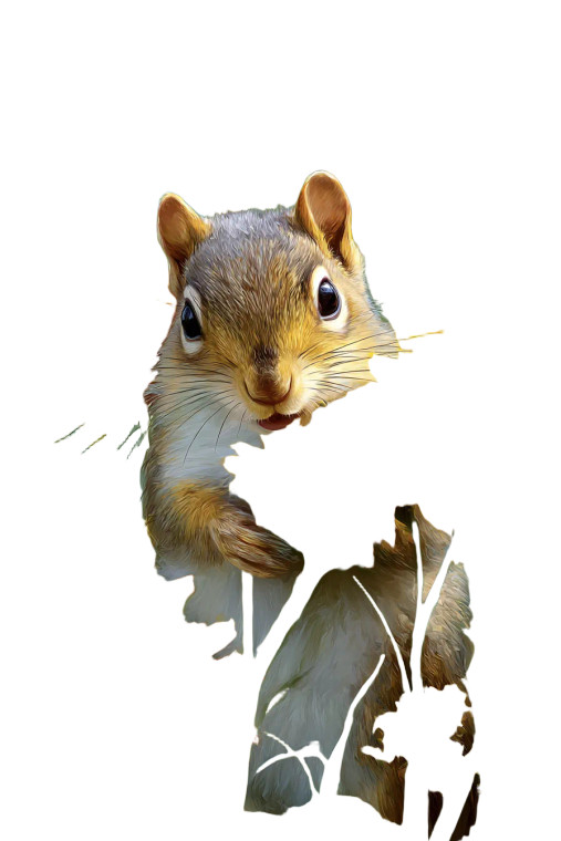 Squirrel With Sunflowers Vinyl Car Decal Sticker – Waterproof & UV-Resistant 