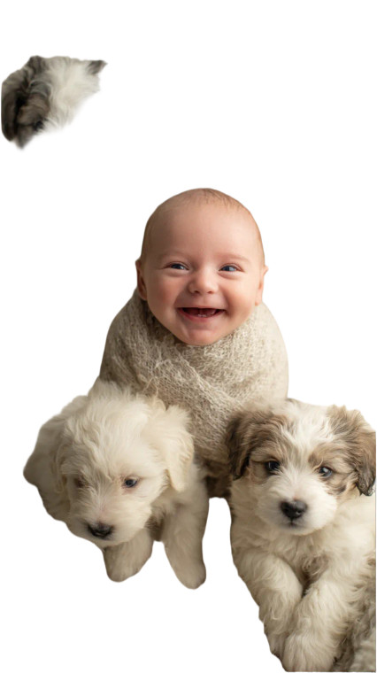 Giggling Baby With Puppies Vinyl Car Decal Sticker – Waterproof & UV-Resistant 