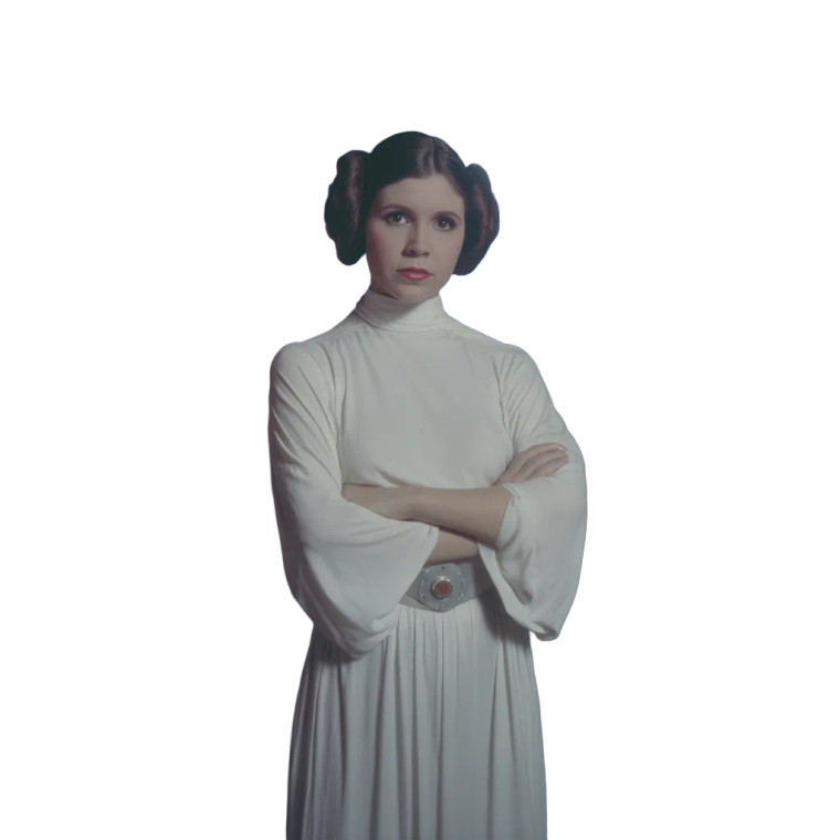 Princess Leia V2 Vinyl Car Decal Sticker – Waterproof & UV-Resistant 