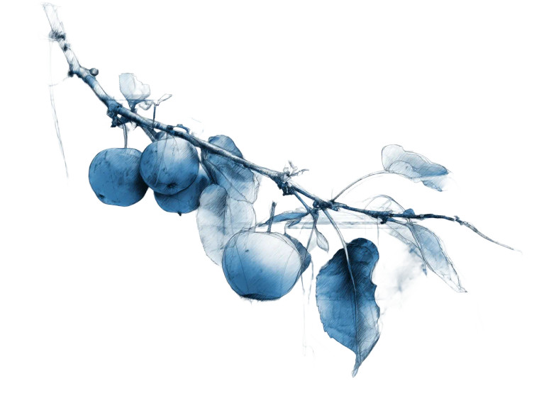 Blue Apple Branch Vinyl Car Decal Sticker – Waterproof & UV-Resistant 