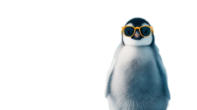 Cool Penguin Vinyl Car Decal Sticker – Waterproof & UV-Resistant 