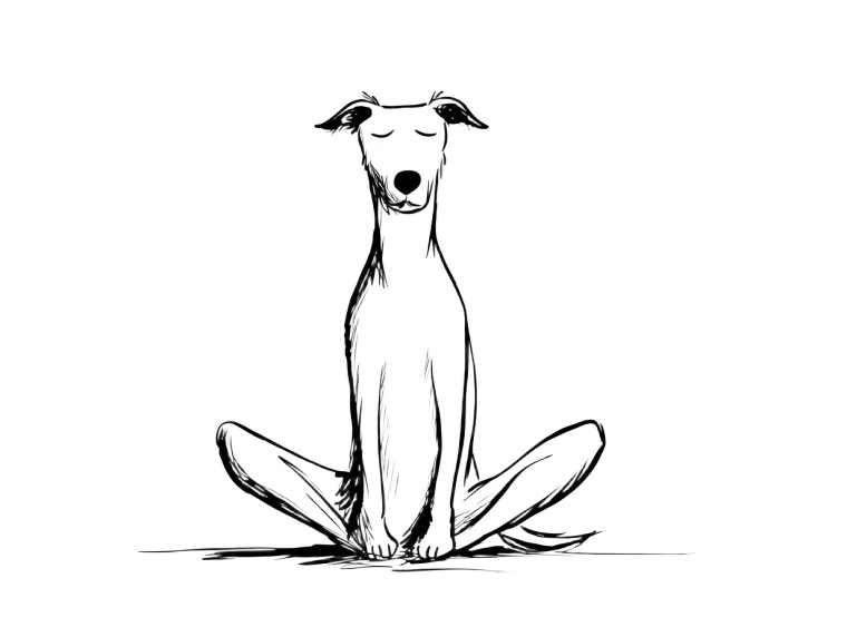 Meditating Dog V3 Vinyl Car Decal Sticker – Waterproof & UV-Resistant 