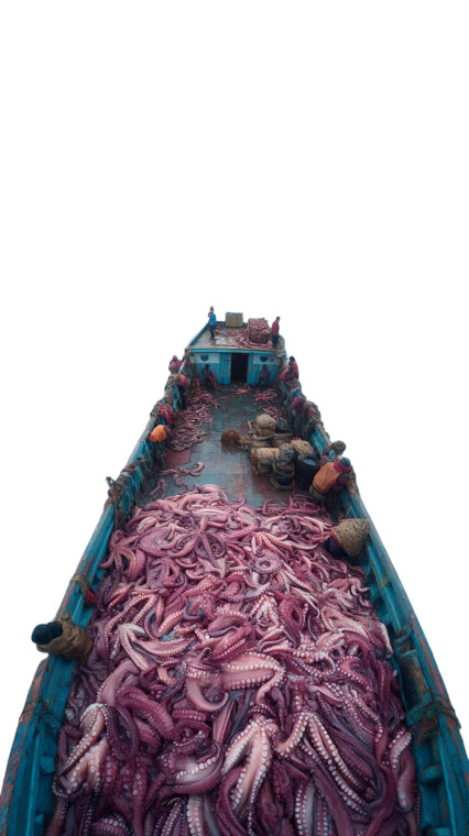 Fishing Boat Octopus Vinyl Car Decal Sticker – Waterproof & UV-Resistant 