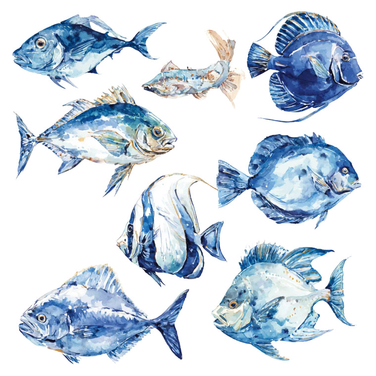 Blue Ocean Fish Vinyl Car Decal Sticker – Waterproof & UV-Resistant 