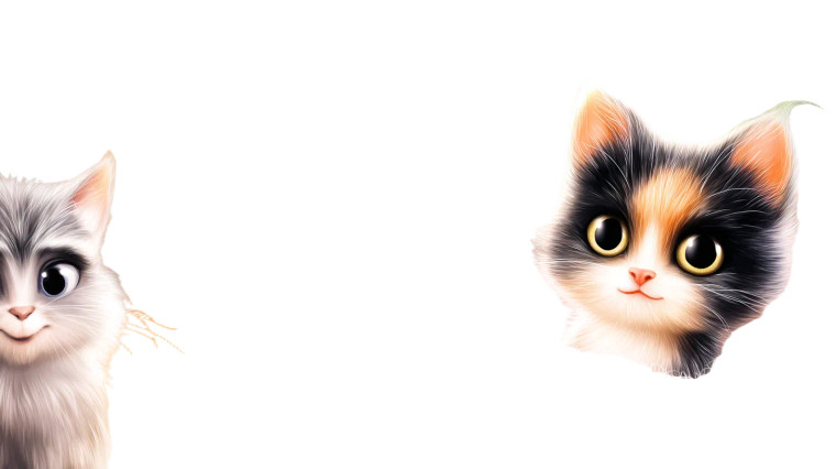 Fluffy Kitten In Shoebox Vinyl Car Decal Sticker – Waterproof & UV-Resistant 