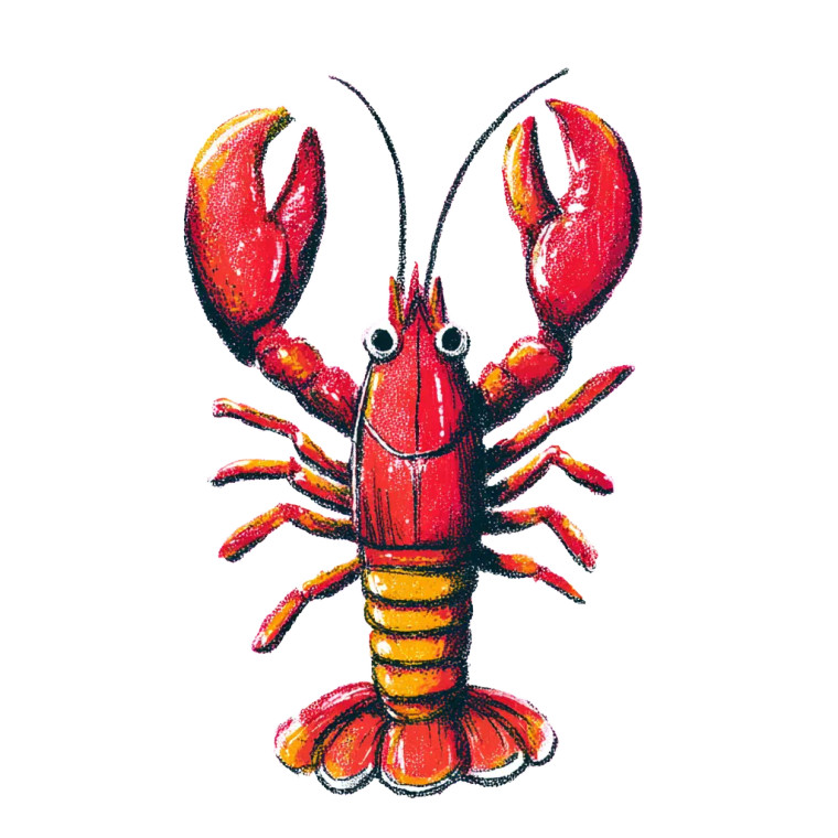 Red Striped Lobster Vinyl Car Decal Sticker – Waterproof & UV-Resistant 