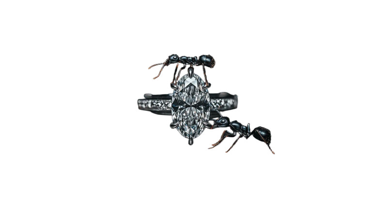 Ant With Diamond Ring Vinyl Car Decal Sticker – Waterproof & UV-Resistant 