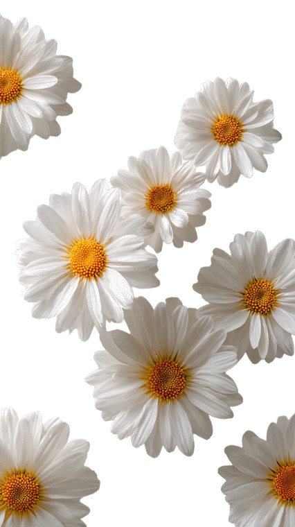 Pearlescent Chamomile Flowers V2 Vinyl Car Decal Sticker – Waterproof & UV-Resistant 