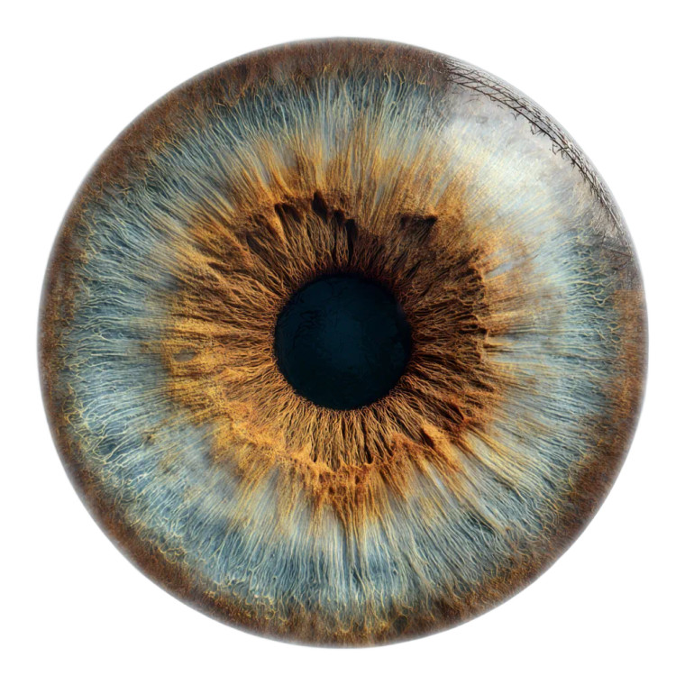 Hyper-Realistic Human Iris Vinyl Car Decal Sticker – Waterproof & UV-Resistant 