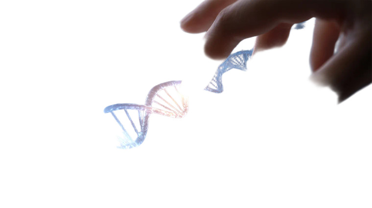 Luminous Dna Helix Vinyl Car Decal Sticker – Waterproof & UV-Resistant 