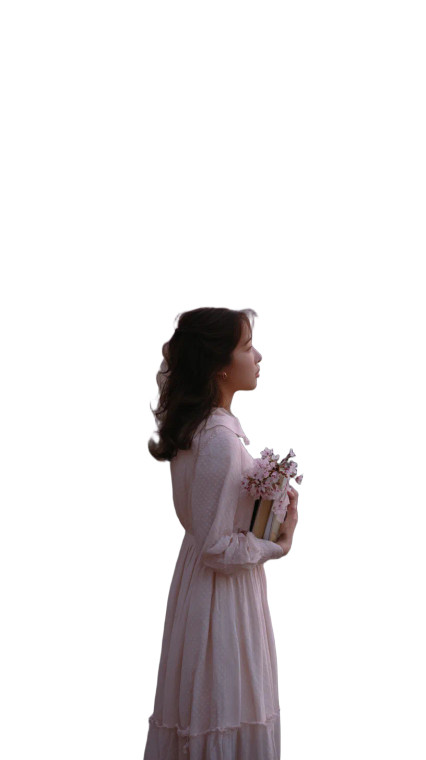 Cherry Blossom Dream V4 Vinyl Car Decal Sticker – Waterproof & UV-Resistant 