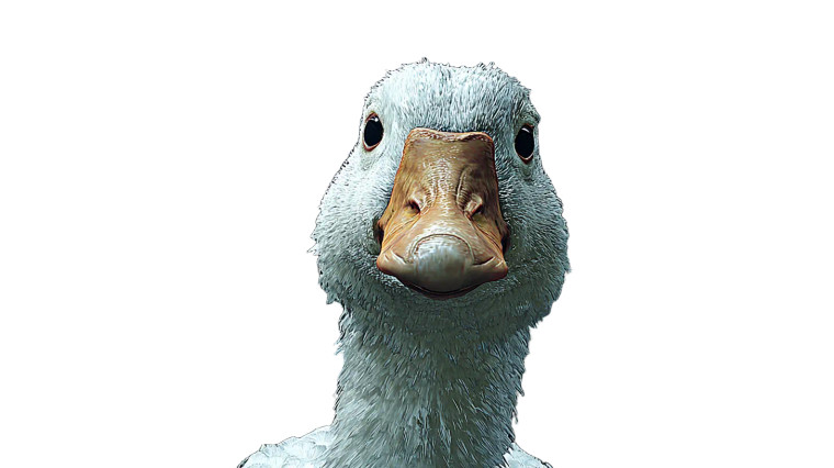 Funny Goose V2 Vinyl Car Decal Sticker – Waterproof & UV-Resistant 