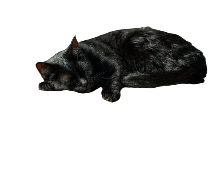 Sleeping Black Cat V7 Vinyl Car Decal Sticker – Waterproof & UV-Resistant 