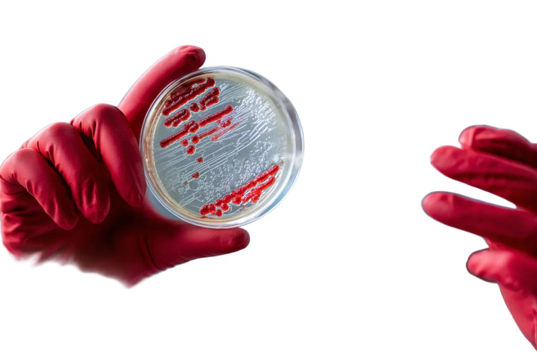 Scientist Examining Dish Vinyl Car Decal Sticker – Waterproof & UV-Resistant 