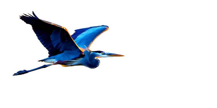 Elegant Blue Heron Vinyl Car Decal Sticker – Waterproof & UV-Resistant 