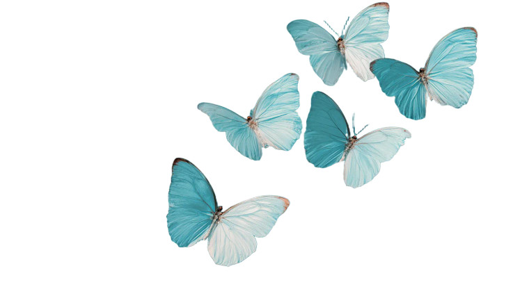 Blue Butterflies Flight Vinyl Car Decal Sticker – Waterproof & UV-Resistant 