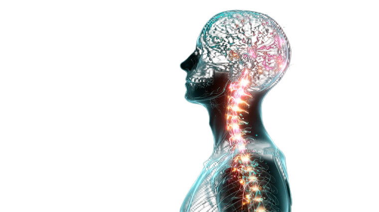 Glowing Neural Head Vinyl Car Decal Sticker – Waterproof & UV-Resistant 