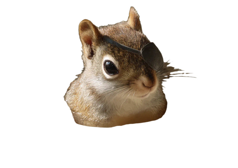 Pirate Squirrel Soup Vinyl Car Decal Sticker – Waterproof & UV-Resistant 