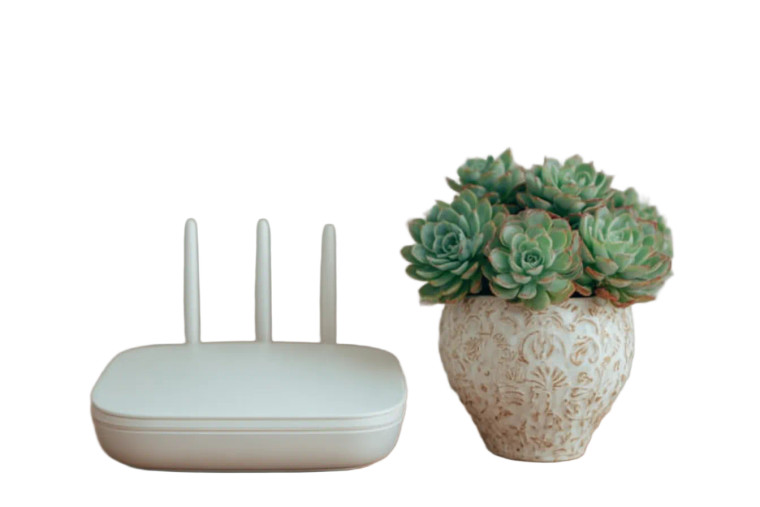 Wi-Fi And Succulent Vinyl Car Decal Sticker – Waterproof & UV-Resistant 