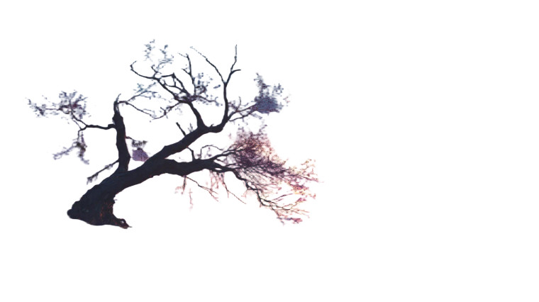 Broken Dusk Tree Vinyl Car Decal Sticker – Waterproof & UV-Resistant 
