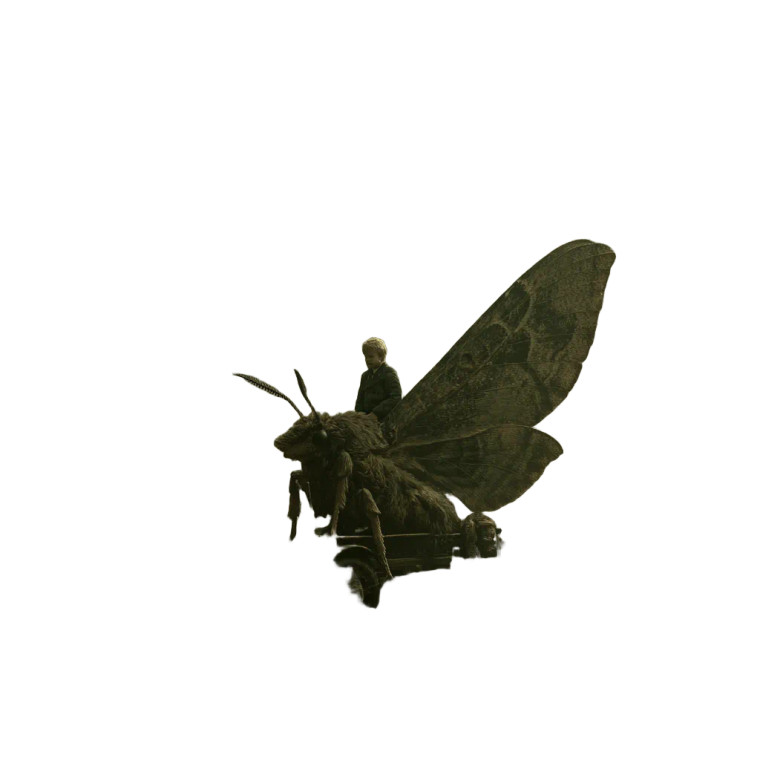 Baby In Moth Vinyl Car Decal Sticker – Waterproof & UV-Resistant 