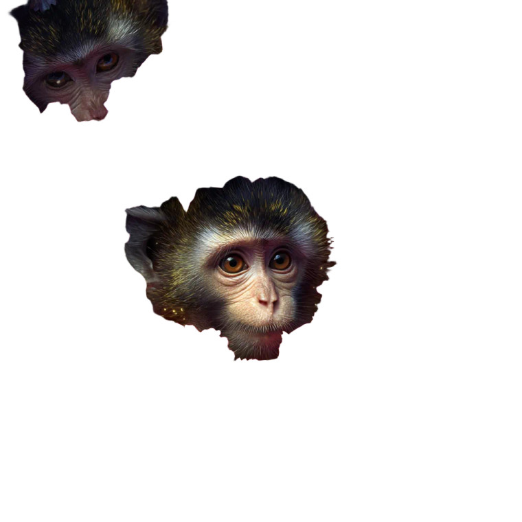 Monkeys In Flowers Vinyl Car Decal Sticker – Waterproof & UV-Resistant 