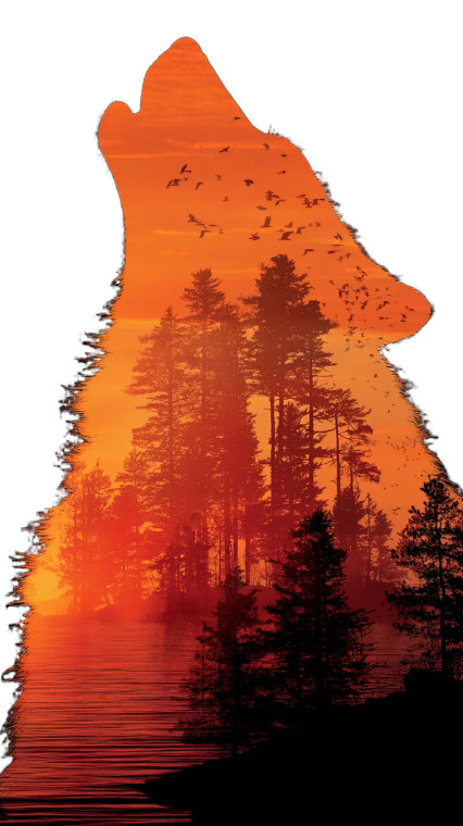 Howling Wolf Silhouette V3 Vinyl Car Decal Sticker – Waterproof & UV-Resistant 