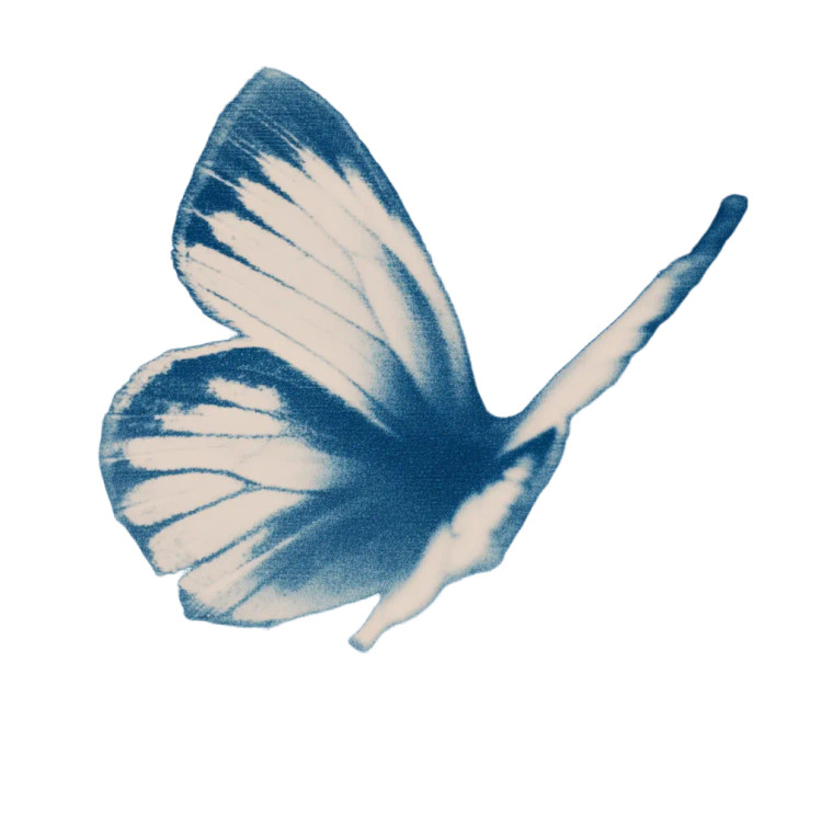 Cyanotype Butterfly Vinyl Car Decal Sticker – Waterproof & UV-Resistant 