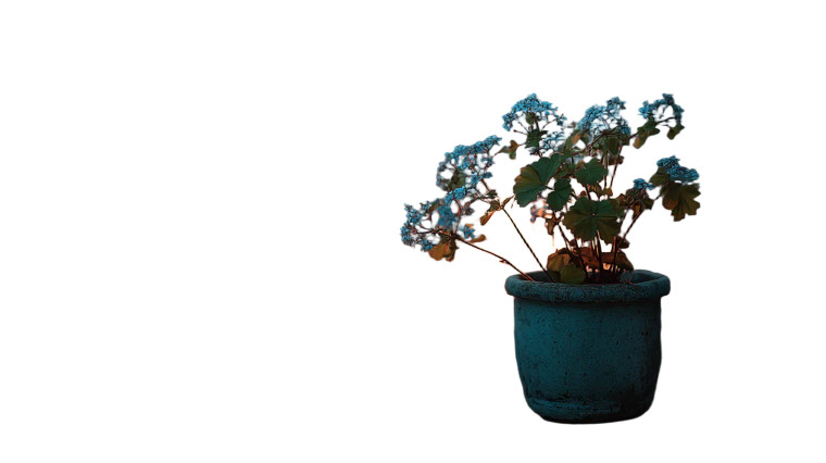 Potted Plant Glow Vinyl Car Decal Sticker – Waterproof & UV-Resistant 
