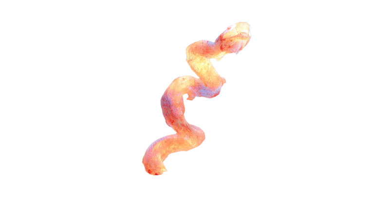 Fiery Serpent Emergence Vinyl Car Decal Sticker – Waterproof & UV-Resistant 