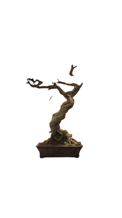 Bonsai Courtyard Vinyl Car Decal Sticker – Waterproof & UV-Resistant 