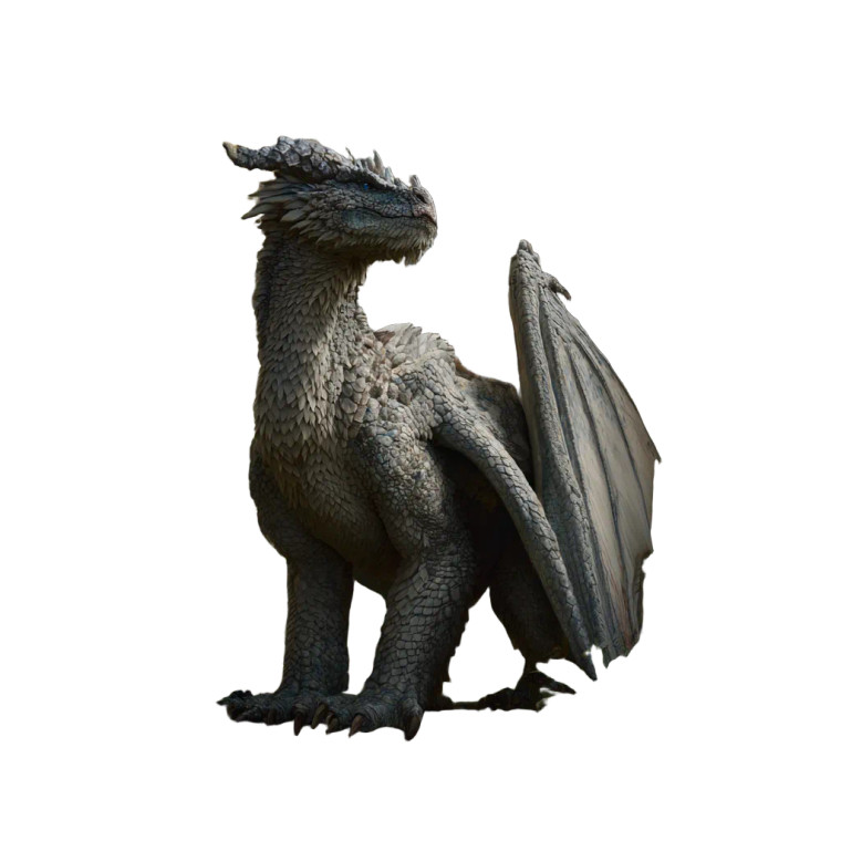 Silver Dragon Portrait Vinyl Car Decal Sticker – Waterproof & UV-Resistant 