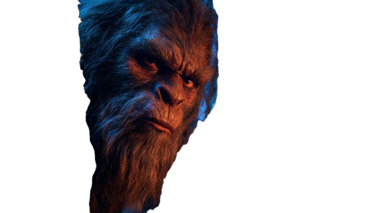 Angry Sasquatch Poster Vinyl Car Decal Sticker – Waterproof & UV-Resistant 