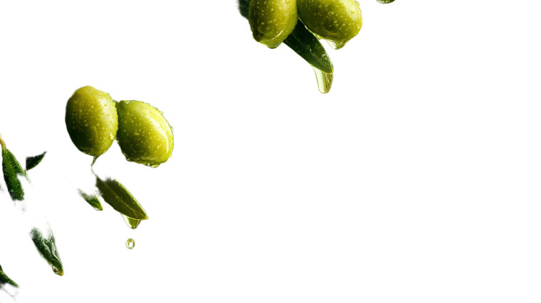 Fresh Olive Branches Vinyl Car Decal Sticker – Waterproof & UV-Resistant 