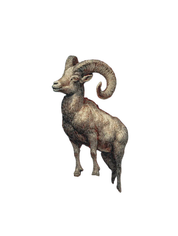 Mountain Goat Stamp Vinyl Car Decal Sticker – Waterproof & UV-Resistant 