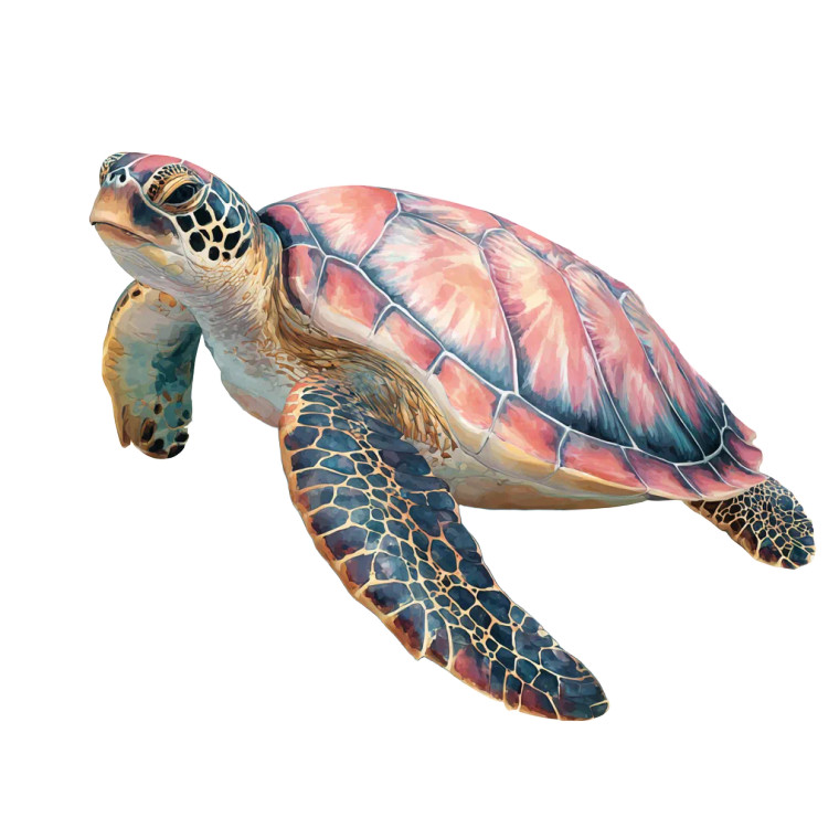 Marine Life Illustration V2 Vinyl Car Decal Sticker – Waterproof & UV-Resistant 