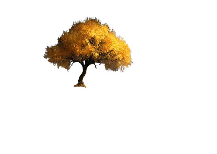 Golden Cliff Tree Vinyl Car Decal Sticker – Waterproof & UV-Resistant 