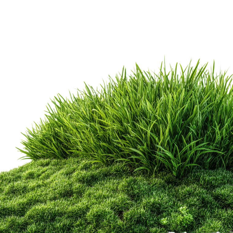 Green Lawn Grass Vinyl Car Decal Sticker – Waterproof & UV-Resistant 
