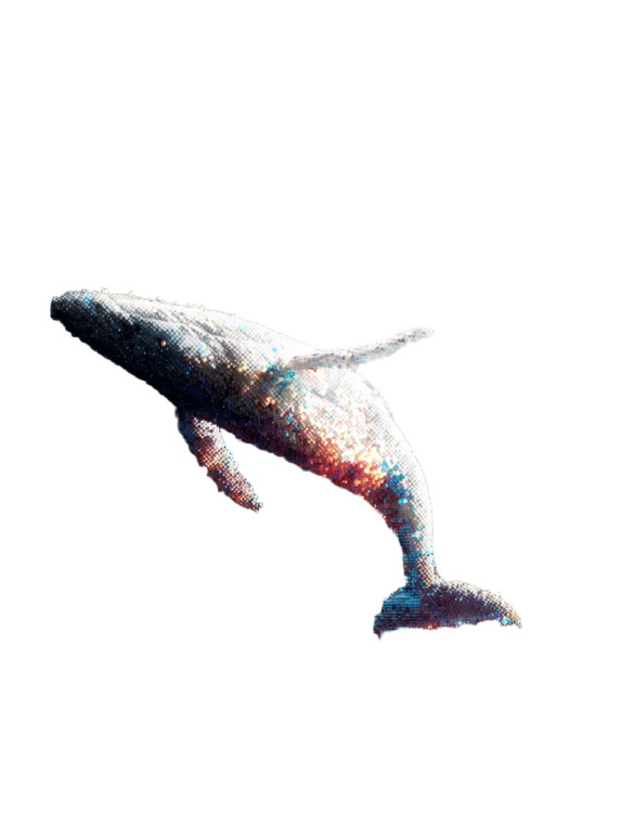 Celestial Whale Fall Vinyl Car Decal Sticker – Waterproof & UV-Resistant  Celestial Whale Fall Vinyl Car Decal Sticker – Waterproof & UV-Resistant