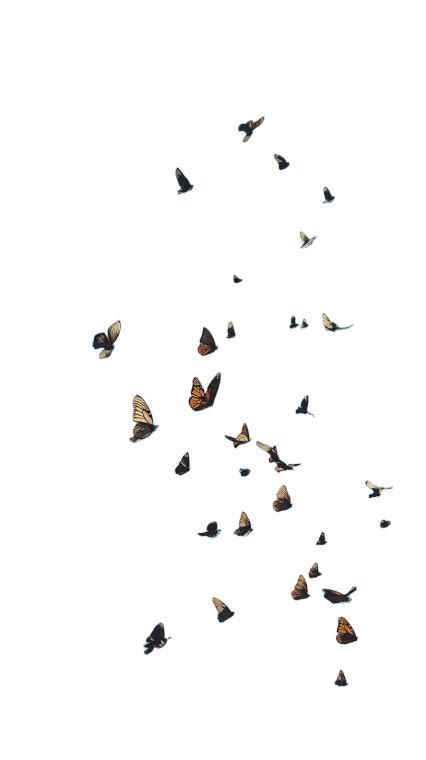 Sky Dancers Vinyl Car Decal Sticker – Waterproof & UV-Resistant 