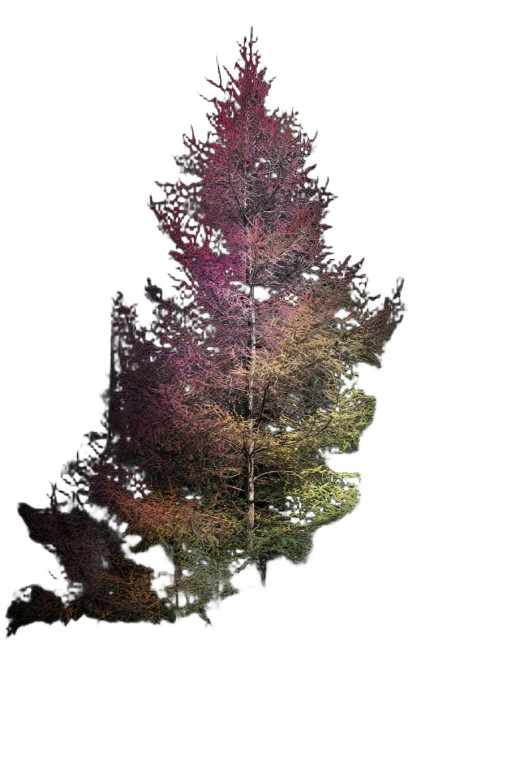 Rainbow-Leafed Tree Vinyl Car Decal Sticker – Waterproof & UV-Resistant 