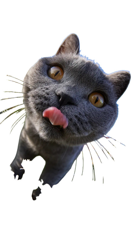 Blue Cat Licking Vinyl Car Decal Sticker – Waterproof & UV-Resistant 