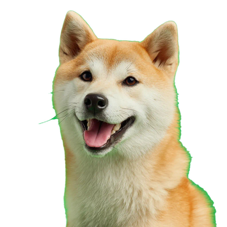 Happy Shiba Dog V4 Vinyl Car Decal Sticker – Waterproof & UV-Resistant 