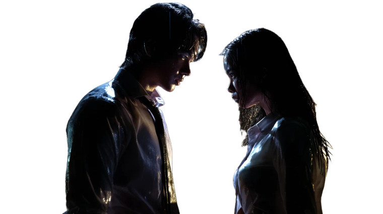 Bittersweet Encounter Vinyl Car Decal Sticker – Waterproof & UV-Resistant 